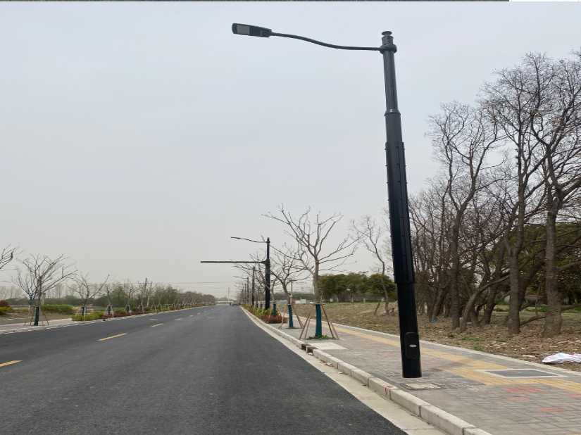 那坡县上海综合杆 太阳能路灯工程